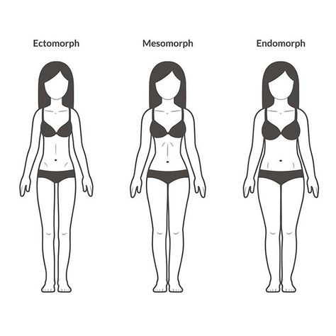 The 3 Body Types—And How They Affect Your Weight Loss  http://www.prevention.com/weight-loss/the-3-body-types-and-how-they-affect-your-weight-loss?utm_source=prevention.com Healthy Weight Gain Foods, Weight Gain Journey, Weight Gain Diet, Weight Gain Meals, Stop Overeating, Weight Gain Meal Plan, Body Types Women, Motivation App, Healthy Weight Gain