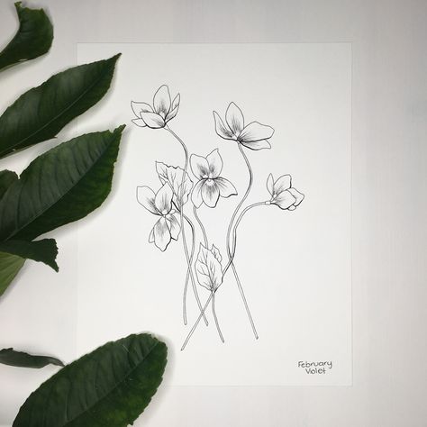 Birth Flower, Violet, February, Birth Flower Artwork, Minimalist Artwork, Simple Floral Artwork, Floral Decor Violet February Tattoo, Violet Floral Tattoo, Violet Flower Drawing Simple, February Birth Flower Tattoo Violets, Violet Flower Drawing Tattoo, Simple Violet Flower Tattoo, Violet Tattoo Black And White, Enzo Tattoo, Violet Minimalist