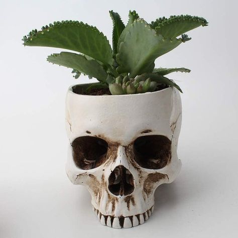 Sugar Skull Planter, Sugar Skull Decor, Skull Planter, Skull Model, Head Flower, Resin Skull, Planter Gift, Flower Pot Holder, Head Planters