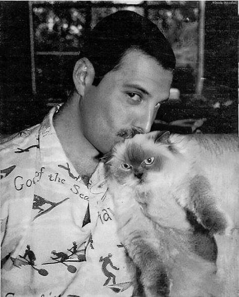 Freddie with Tiffany and Oscar ... Freddie Mercury With His Cats, Freddie Mercury Cute, Freddie Mercury Cat, Freddie Mercury Quotes, Celebrities With Cats, King Of Queens, Freddy Mercury, Queen Photos, Queen Pictures