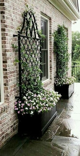 Taman Diy, Iron Trellis, نباتات منزلية, Desain Lanskap, التصميم الخارجي للمنزل, Garden Yard Ideas, Garden Trellis, Courtyard Garden, Art Sculptures