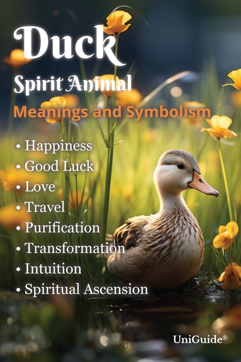 Explore duck symbolism, meanings, and spiritual meanings on UniGuide.com #ducksymbolism #duckspiritanimal #laughter #happiness #goodluck #bonding #emotionalstability #oddcouples #love #travel #purification #spiritguide #transformation #intuition #spiritualgrowth #nature #animaltotem #symbolicmeaning #quackquack #featheredfriend #innerjourney #harmony #ducktotem #ducktotemanimal #duckpoweranimal Duck Meaning Spiritual, Duck Spirit Animal Meaning, Spiritual Animal Meanings, Duck Symbolism, Spiritual Cards, Folklore Stories, Spirit Animal Meaning, Animal Meanings, Spiritual Ascension