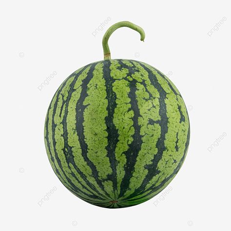 Watermelon Cartoon, Watermelon Vector, Watermelon Illustration, Summer Juice, Fruit Png, Happy Fruit, Fruit Watermelon, Insta Account, Fruit Fresh