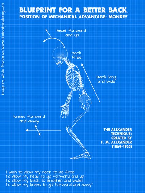 Presentation Pictures, Mechanical Advantage, Alexander Technique, Career Vision Board, Core Stability, Neck And Shoulder Pain, Senior Health, Massage Benefits, Healing Arts