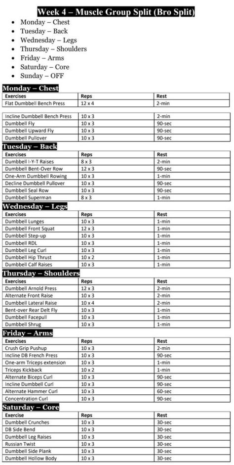 Full Body Weekly Workout Plan Gym, Full Dumbbell Workout, Calisthenics Weekly Workout Plan, Dumbbell And Barbell Workout Plan, Public Gym Workout, Dumbell Workout Week Plan, Workout Schedule For Bulking, Dumbell Workout Program, At Home Dumbbell Workout Schedule