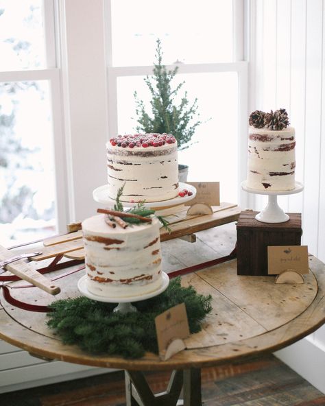 Decorate sweets with seasonal toppers. Sprigs of evergreen (think: spruce, cedar, or fir) can work for both the top and bottom tiers: "Evergreen wreaths make lovely additions to the bottom of cake stands. Opt for naked cakes with a snowy effect by dousing them with powdered sugar, or dip them in edible glitter for some glam. #winterweddingcakes #bridalshowerideas #weddingcakes #seasonalweddingcake | Martha Stewart Weddings - 19 Tips for Throwing the Ultimate Winter Bridal Shower Viking Vows, Christmas Bridal Showers, Wedding Cake Display, Winter Bridal Showers, Rustic Winter Wedding, Winter Wedding Cake, Naked Cakes, Delicious Cakes, Winter Wedding Inspiration