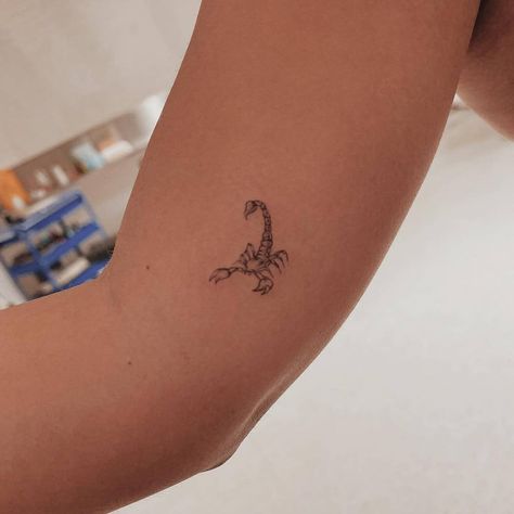 Scorpion Tiny Tattoo, Single Needle Scorpion Tattoo, Scorpion Tattoo Back Of Neck, Aesthetic Scorpion Tattoo, Scorpion Tattoo Aesthetic, Minimalistic Scorpion Tattoo, Scorpio Tattoo Ankle, Scorpio Tattoos Minimalistic, Small Scorpion Tattoo Woman Zodiac