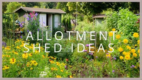 Allotment Shed Ideas: Things to Consider for the Best Allotment Shed Allotment Layout, Allotment Design, Allotment Shed, Shed Ideas, Lost Garden, Allotment Gardening, Shed Base, Small Sheds, Wooden Sheds