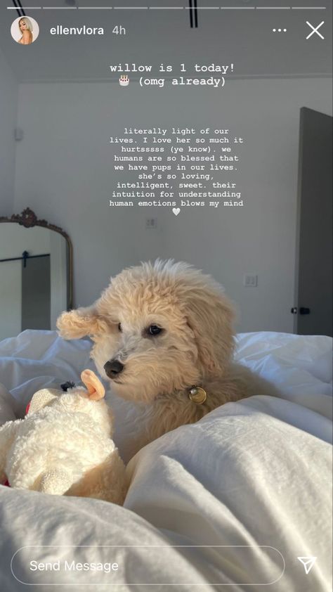 Fur Mom Aesthetic, Dog Quotes Instagram Story, Instagram Pet Captions, Dog Captions For Insta Story, Captions Dogs Instagram, Dog Insta Post, Cute Puppy Captions, Dog Lover Bios For Instagram, Puppy Story Ideas