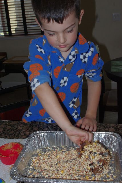 Did you know that February is National Bird Feeding Month? Honestly, I didn’t either, but it ties in perfectly with this super easy craft, don’t you think? I filled the bottom of a shallow pan with some birdseed. I love foil roasting pans for jobs like these (I use them for everything from marble painting … Pinecone Birdfeeders, No Bake Bird Feeders, Peanut Butter Pinecone Bird Feeder, Pine Cone Bird Feeder No Peanut Butter, Bird Seed Crafts, Nut Free Bird Feeder For Kids, Bird Feeders For Kids To Make Recycling, Pine Cone Bird Feeder, Easy Craft For Kids