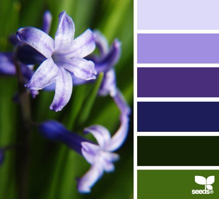 flora color Seeds Color, Design Seeds, Color Palate, Color Palette Design, Color Harmony, Color Swatch, Color Textures, Colour Schemes, Color Pallets