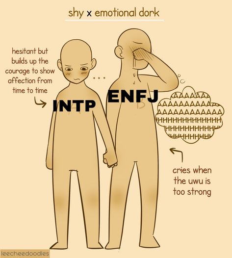 Entj Relationships, Intp Relationships, Mbti Functions, Entp And Intj, Enfj Personality, Enfp Relationships, Intp Personality Type, Intp T, Infj Mbti