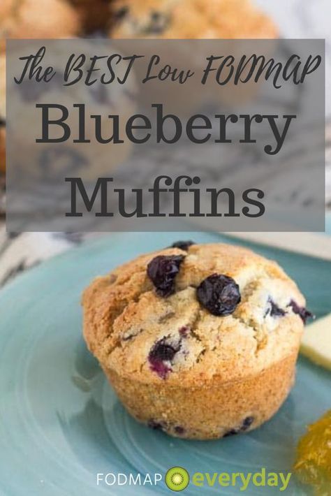 The BEST Low FODMAP Blueberry Muffins Fodmap Breakfast, Low Fodmap Snacks, Fodmap Snacks, Low Fodmap Diet Recipes, Best Blueberry Muffins, Fodmap Diet Recipes, Ibs Recipes, Healthy Eating Guidelines, Gluten Free Sides