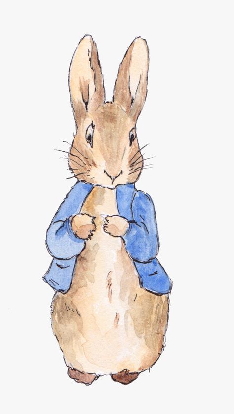 Peter Rabbit Illustration, Rabbit Wedding, Beatrix Potter Illustrations, Flopsy Bunny, Beatrice Potter, Peter Rabbit Nursery, Rabbit Png, Peter Rabbit Birthday, Lapin Art