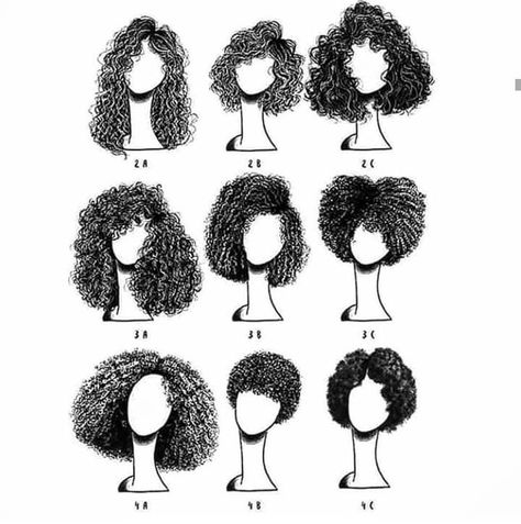 Long Curly Hair 😍💜 on Instagram: “Which is your type? Mine is 3b 😍❤️ . . . . . . . . #longcurlyhair #longhair #curlygirls #curlyhair #curls #bighair #cacheada…” 3c Curly Hair, 3c Hair, Hair Sketch, Different Hair, Curly Hair Inspiration, Curly Hair Routine, Hairstyles Curly, Curly Hair Care, Hair Reference