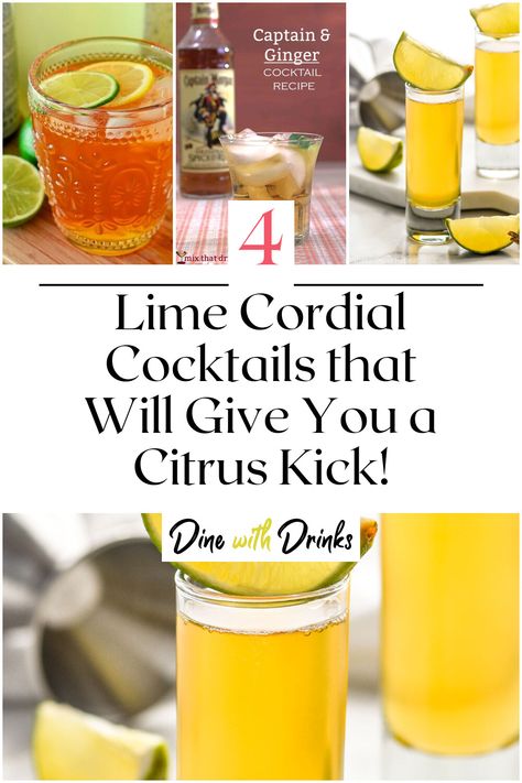 Collage of 4 lime cordial cocktails. Ginger Cocktail Recipes, Cordial Recipe, Ginger Cocktails, Tequila Cocktails, Cordial, Try Something New, Mixology, Refreshing Drinks, Cocktail Drinks