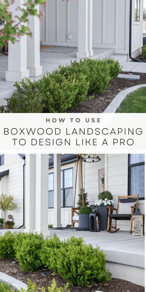 Design your yard like a pro! Incorporate boxwood landscaping ideas into your front yard for beautiful curb appeal and garden design. Front Yard Landscaping Boxwood Hedges, Front Yard Landscaping With Bushes, Front Yard Minimalist Landscaping, Front Garden Bushes, Boxwood And Holly Landscaping, Foundation Plantings For Front Of House Farmhouse, Arborvitae Landscaping Front Yards, House Front Plant Ideas, Relandscaping Front Yards