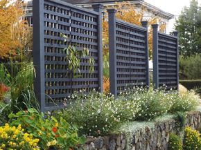 Free standing lattice panels are a great way to block unwanted views without breaking the bank. They look attractive on both sides and can be dressed up with climbing, roses, clematis, honeysuckle or other vines for another layer of screening. These lattice panels are perfectly positioned to screen views of a neighbour's driveway and patio. Nasturtiums, salvia and Dichondra 'Silver Falls' add a festive air. Lattice Panels, Urban Habitat, Privacy Fence Designs, Patio Privacy, Privacy Landscaping, Garden Privacy, Backyard Privacy, Garden Vines, Outdoor Privacy