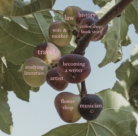 my fig tree | fig tree analogy sylvia plath Sylvia Plath Fig Tree, Fig Tree Analogy, The Fig Tree, Miss Americana, Thought Daughter, Green Fig, The Bell Jar, Sylvia Plath, January 13