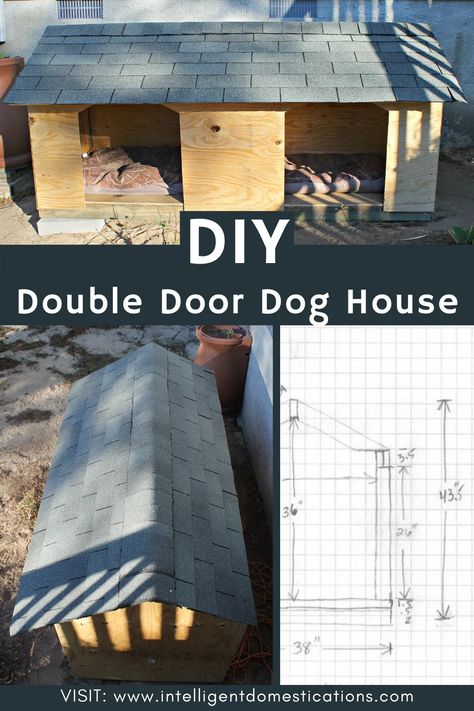 DIY Double Door Dog House Xl Dog House, Dog House Diy Outdoor, Double Dog House, Easy Dog House, Big Dog House, House Reference, Extra Large Dog House, Dog Backyard, Dog Kennel Designs