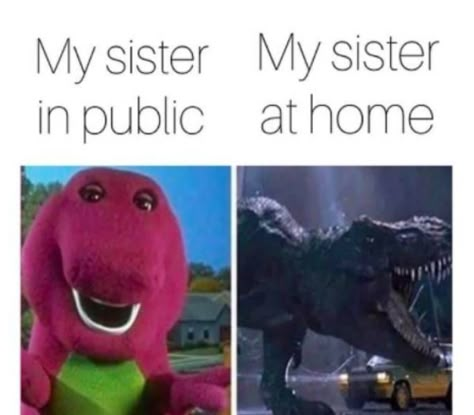 37 Sibling Memes That Prove They Can be So Annoying. - Gallery Sister Meme, Drunk Memes, Siblings Funny Quotes, Sibling Memes, Siblings Funny, Sisters Funny, Memes Br, Memes Humor, Cool Pets