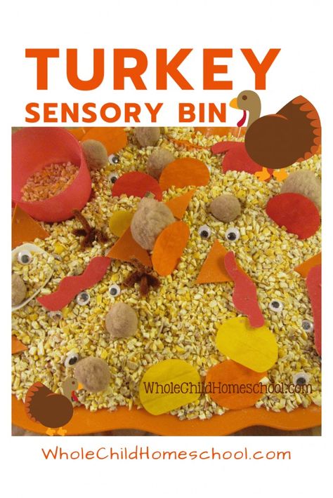 Turkey Sensory Bin Preschool, Thanksgiving Sensory Table Ideas, Thanksgiving Sensory Activities Preschool, Sensory Activities Toddlers Thanksgiving, November Theme Activities, Thanks Giving Projects For Toddlers, Thanksgiving Themed Sensory Bin, Gross Motor Activities For Preschoolers Thanksgiving, Thanksgiving Theme Activities Preschool