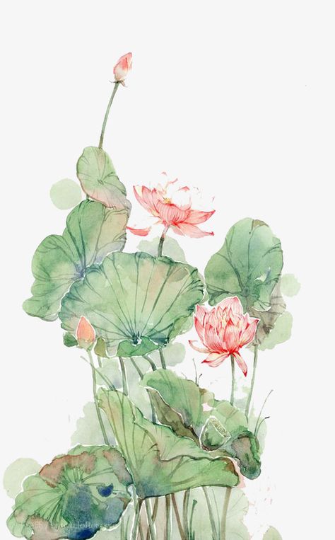 Watercolor Lotus, Lotus Flower Art, Lotus Painting, Raya And The Last Dragon, Chinese Art Painting, The Last Dragon, Lotus Art, Painting Ideas For Beginners, Kunst Inspiration