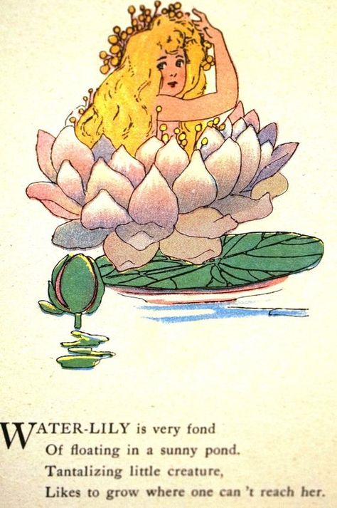 Water Lily. M. T. Ross, illus. Poem by Eliz. Gordon. Poem Flower, Vintage Book Illustration, Flower Poem, Childrens Poems, Childrens Poetry, Flower Children, Kids Poems, Book Illustration Art, Vintage Mermaid