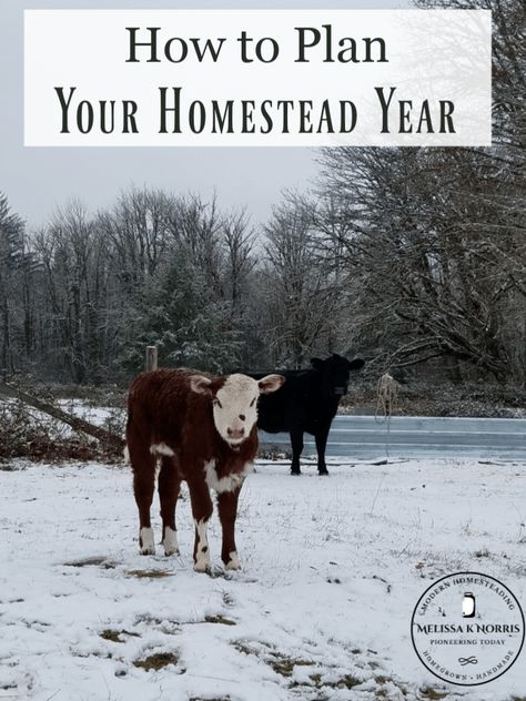 Farming 101, Chore Calendar, Raising Pigs, Homegrown Food, Farm Plans, Planning Calendar, The Barnyard, Ranch Farm, Mini Farm