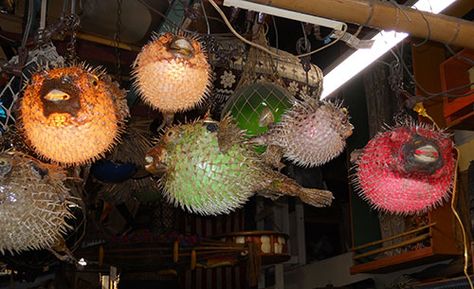 If you are looking for tiki decor -- we have discovered the motherlode of all tiki suppliers: Oceanic Arts -- which has been selling tiki for 57 years! Spooky Luau, Tiki Shelf, Tiki Patio, Tiki Bars Diy, Tiki Ideas, Tiki Garden, Tiki Lights, Tiki Culture, Jungle Bird