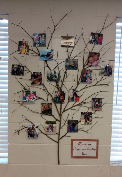 Kindergarten Family Picture Wall, Family Picture Wall Ideas Preschool, Family Tree Art For Kids Classroom, Daycare Family Photo Wall, Friends And Family Board Classroom, Toddler Family Tree Project, Class Picture Ideas Group Preschool, Family Wall Pictures Ideas Classroom, Daycare Family Picture Board