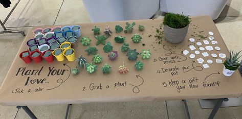 “Plant your love” activity where employees made fake succulents for their desks (by yours truly) Succa For Love Party, Plant Propagation Party, Plant Bachelorette Party Ideas, Make Your Own Succulent Party, Succulent Planting Party, Plant Party Ideas, Plant Themed Party, Plant Birthday Party, Succulent Birthday Party