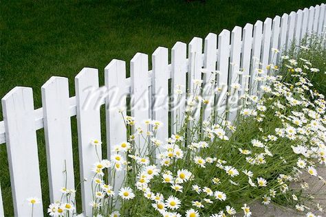 White Garden Fence, Small Garden Fence, Metal Garden Fencing, Diy Garden Fence, Rustic Fence, White Fence, Diy Fence, Front Yard Fence, White Picket Fence