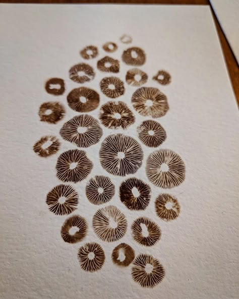 MushroomInBloom on Instagram: “The biggest mushroom used in these spore prints was probably 1/2 an inch. They’re so tiny and magical! I was almost certain they wouldn’t…” Mushroom Spore Print Tattoo, Mushroom Mycelium Tattoo, Mushroom Spores Art, Mushroom Spore Art, Mushroom Spore Print Art, Spore Print Tattoo, Spore Print Art, Mycelium Art, Mushroom Printing