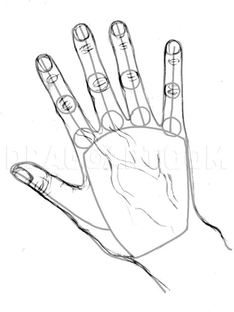 Hands Coloring Page, Draw Hands Step By Step, Hands Step By Step, Trace Drawing, Easy Hand Drawings, How To Draw Fingers, How To Draw Realistic, Learn To Sketch, Draw Realistic