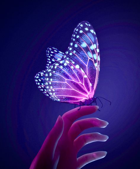 Purple Aesthetic Background, Inside Art, Butterfly Wallpaper Backgrounds, Aesthetic Background, Quotes Disney, Yellow Butterfly, Never Grow Up, Neon Art, Butterfly Wallpaper