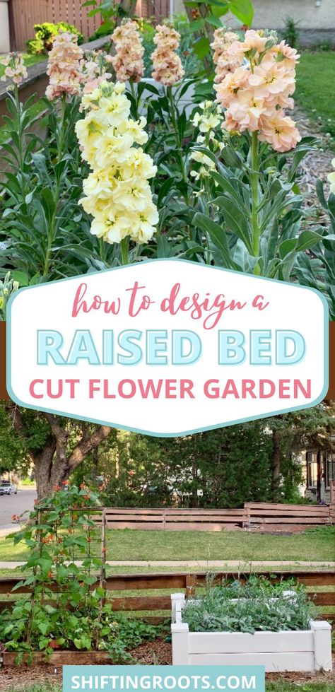 Wondering whether or not you can grow cut flowers in raised beds? The answer is yes! Pretty much anything you can grow in-ground can be grown in a raised bed. Here's how to design your raised bed cut flower garden! Above Ground Flower Garden, Raised Beds Flower Garden, Best Flowers For Garden Beds, How To Make A Raised Flower Bed, Raised Garden Beds With Flowers, Raised Floral Garden Beds, Raised Bed Flower Garden Ideas Planter Boxes, Raised Garden Beds Wildflowers, Garden Box Flowers