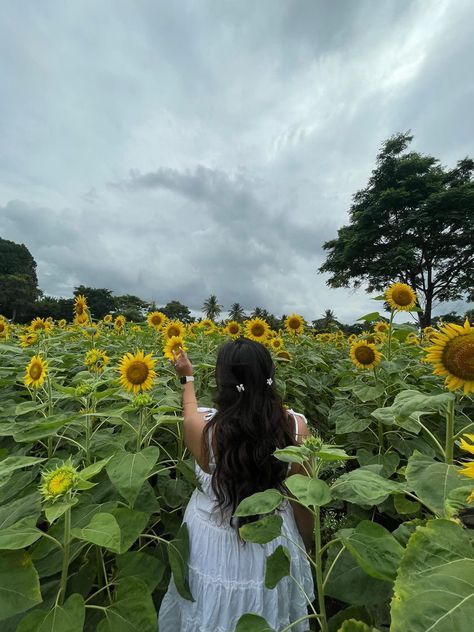 Sunflower Girl Aesthetic, Sunflower Pictures Photography, Sunflower Aesthetic, Sunflower Girl, Sunflower Photo, Soul Ties, Sunflower Pictures, Sunflower Garden, Travel Diaries