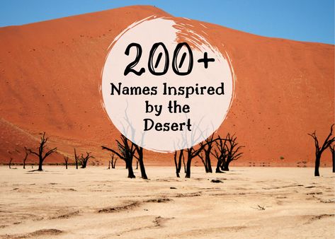 If you're looking for a first name that has something to do with the deserts of our planet, then this is the place for you. Desert Names Ideas, Desert Names, Desert Words, Mommas Boy, Sheep Names, Character Descriptions, Genshin Oc, Dry Sense Of Humor, Hot Desert