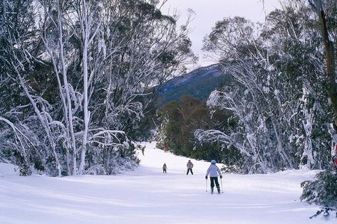 Sydney in the winter could be the best time to visit Australia's largest city. Find out things to do during this season. Sydney Travel Guide, Winter Australia, Beach Kayak, Countries Of Asia, Australia Tourism, Sydney Travel, Visit Sydney, Sydney City, Ski Trails