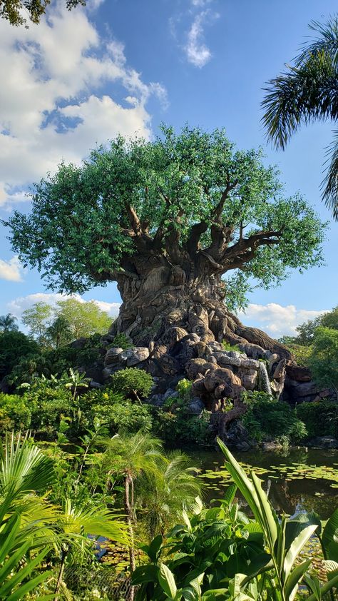 Tree Of Life Disney Animal Kingdom, Animal Kingdom Photography, Animal Kingdom Tree Of Life Drawing, Disney Animal Kingdom Aesthetic, Walt Disney World Animal Kingdom, Disney’s Animal Kingdom, Disney Park Wallpaper, Animal Kingdom Tattoo, Disney Tree Of Life