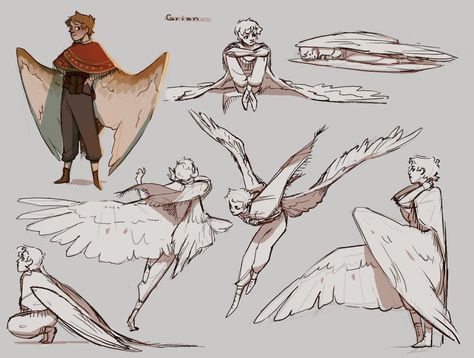 Avian Poses Reference, Avian Poses, People With Wings Art Reference, Drawing Wings Reference, Winged Pose Reference, Bird People Art, Centaur Drawing Reference, Borrowers Art, Wing Art Reference