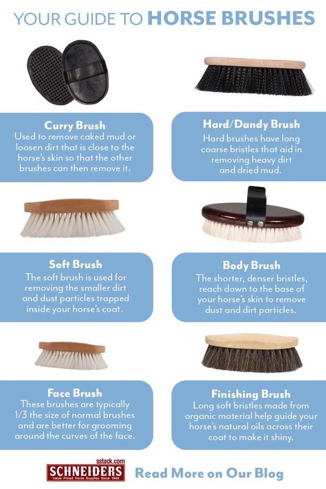 Your Guide to Horse Brushes How To Groom A Horse Properly, Horse Buisness Ideas, Horse Care Hacks, How To Care For Horses, How To Groom A Horse, Caring For Horses, Horse Tack Knowledge, How To Care For A Horse, Things For Horses