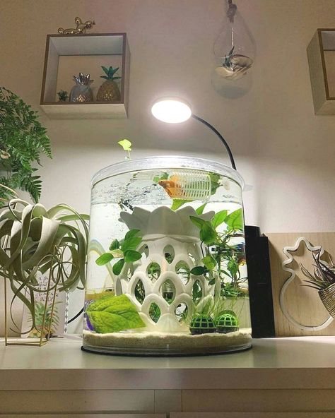 Salt Water Aquarium, Cool Fish Tank Decorations, Unique Fish Tanks, 10 Gallon Fish Tank, Fish Tank Themes, Fish Tank Terrarium, Small Fish Tanks, Cool Fish Tanks, Diy Fish Tank