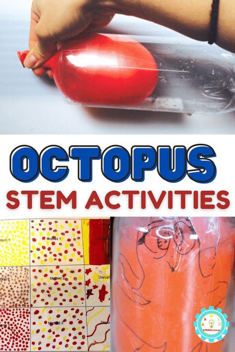 Check out the list below of our favorite octopus STEM activity ideas! You'll find octopus activities for science, octopus technology activities, octopus engineering activities, and octopus math worksheets! Animal Stem Activities Elementary, Kindergarten Octopus Activities, Octopus Stem Activities, Stem Ocean Activities, Stem Ocean Activities Elementary, Octopus Science Experiment, Ocean Stem Activities For Kids, Preschool Octopus Activities, Ocean Experiments For Kids