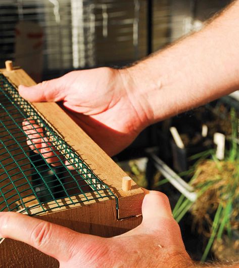 Diy Garden Trug Basket, Gathering Basket Diy, Garden Trug Diy, Diy Garden Basket, Diy Harvest Basket, Harvest Basket Ideas, Diy Wood Basket, Garden Basket Ideas, Egg Basket Diy