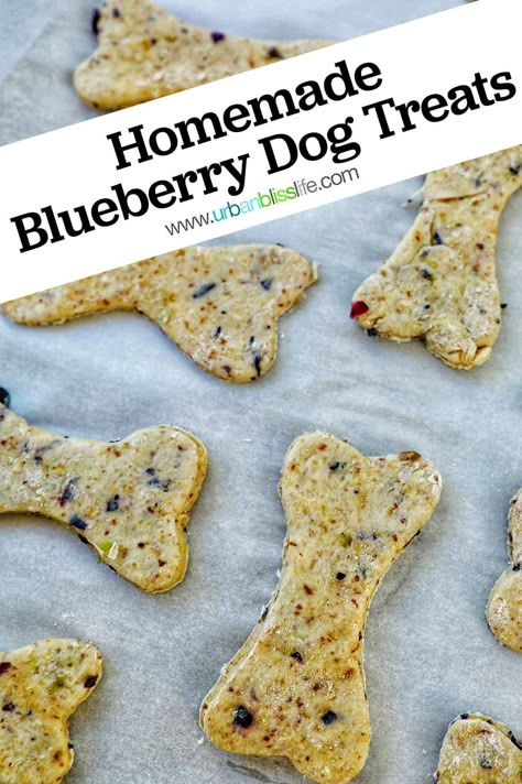 Avocado Dog Treats, Blueberry Oatmeal Dog Treats, Homemade Dog Treats With Blueberries, Blueberry Yogurt Dog Treats, Veggie Dog Treats, Blueberry Dog Treats Homemade Easy, Pumpkin Blueberry Dog Treats, Yogurt Dog Treats Recipes, High Fiber Dog Treats Recipe