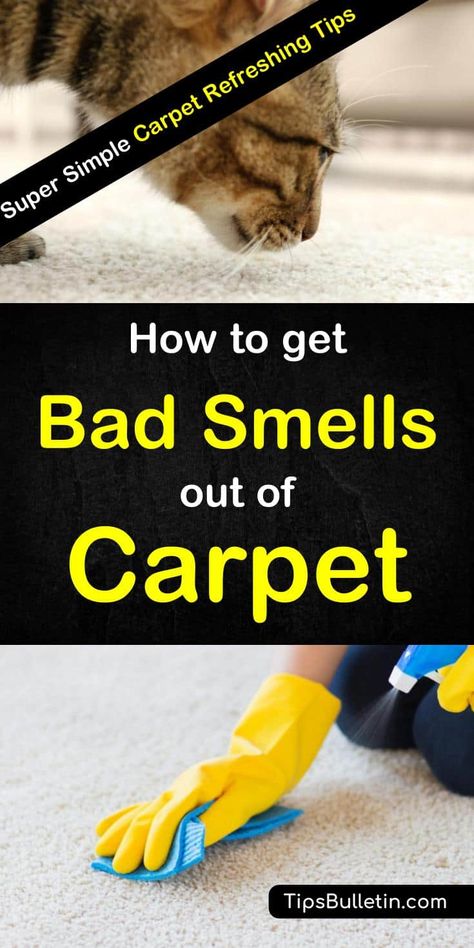 How To Get Rid Of Carpet Odor, Pet Oder In Carpet, How To Get Urine Out Of Carpet, Remove Vomit Smell From Carpet, How To Remove Pet Odor From Carpet, Getting Rid Of Dog Urine Smell In Carpet, How To Get Rid Of Pee Smell In Carpet, How To Remove Smell From Carpet, Best Carpet Cleaner For Pet Urine