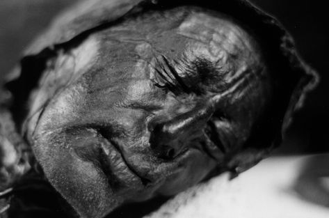 Europe’s well-preserved bog bodies surrender their secrets | Science | AAAS Tollund Man, Bog Body, Ritual Sacrifice, Peat Bog, Iron Age, Interesting History, Ancient Cultures, Memento Mori, World History