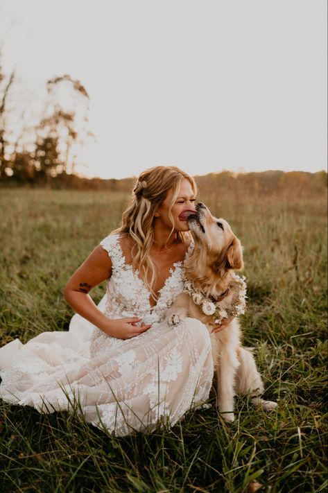 Bridals With Dog, Dog In Wedding Ceremony, Wedding Poses With Dog, Wedding Dog Photos, Loki Wedding, Dog Wedding Pictures, Bride And Dog, Richie Wedding, Golden Retriever Wedding